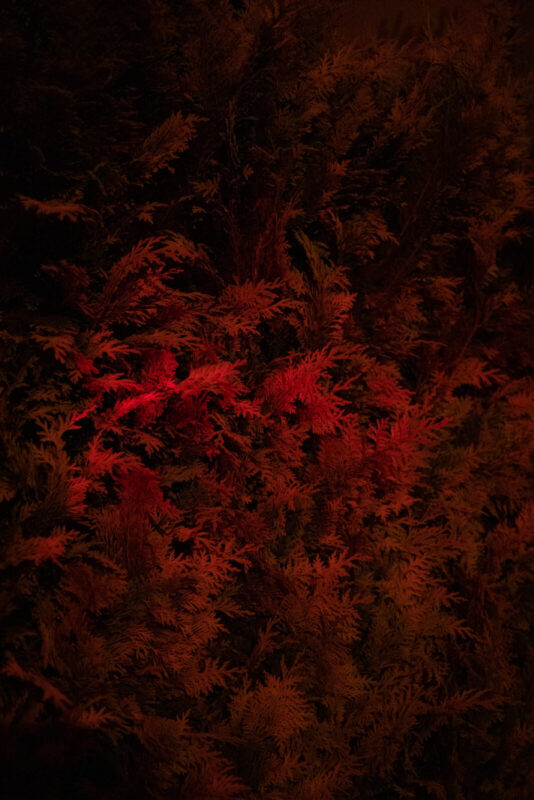 I hate Zingst - It's beautiful